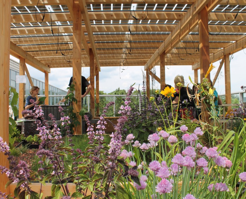 Photovoltaic Roof Garden - Smart City Wien